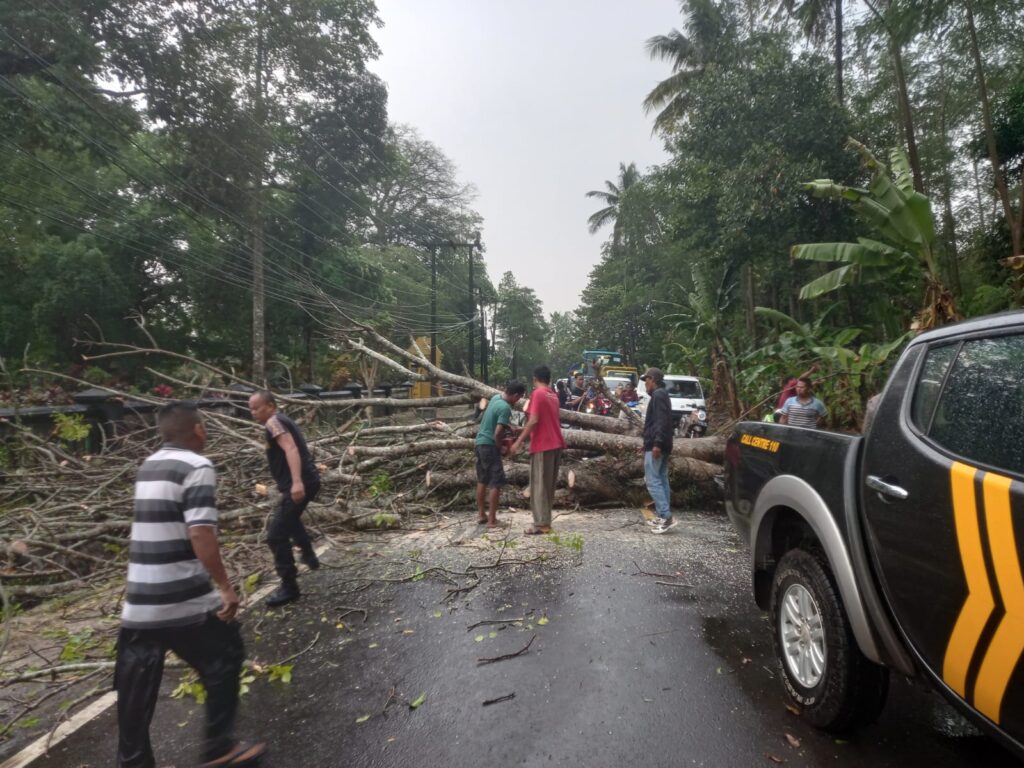 Polsek Saketi Sigap Tangani Pohon Tumbang Akibat Hujan dan Angin Kencang 4 WhatsApp Image 2023 10 08 at 19.01.47