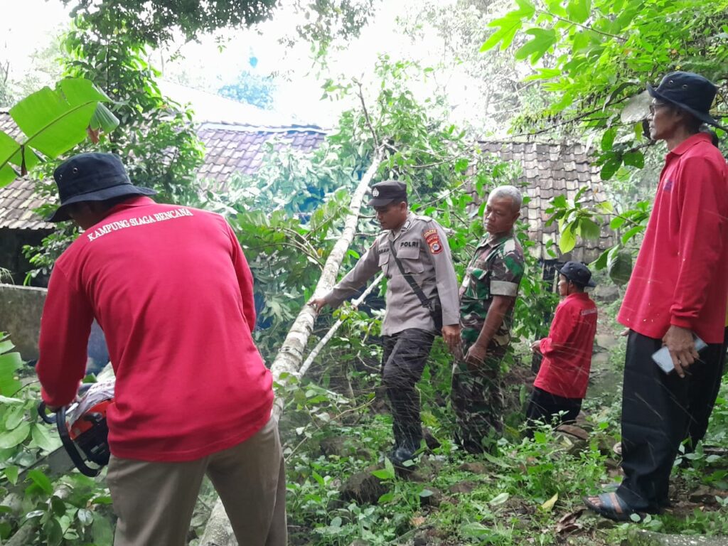 Kolaborasi Antara Polsek Pulosari, Koramil Jiput, dan Masyarakat Evakuasi Pohon Tumbang yang Menimpa Rumah Warga 9 WhatsApp Image 2024 04 19 at 22.14.06