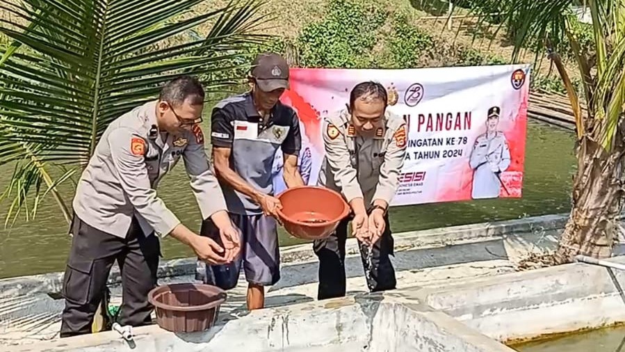 Polsek Cadasari Gelar Kegiatan Ketahanan Pangan Berikan 100 Bibit Anakan Ikan Lele 10 WhatsApp Image 2024 06 26 at 08.48.34