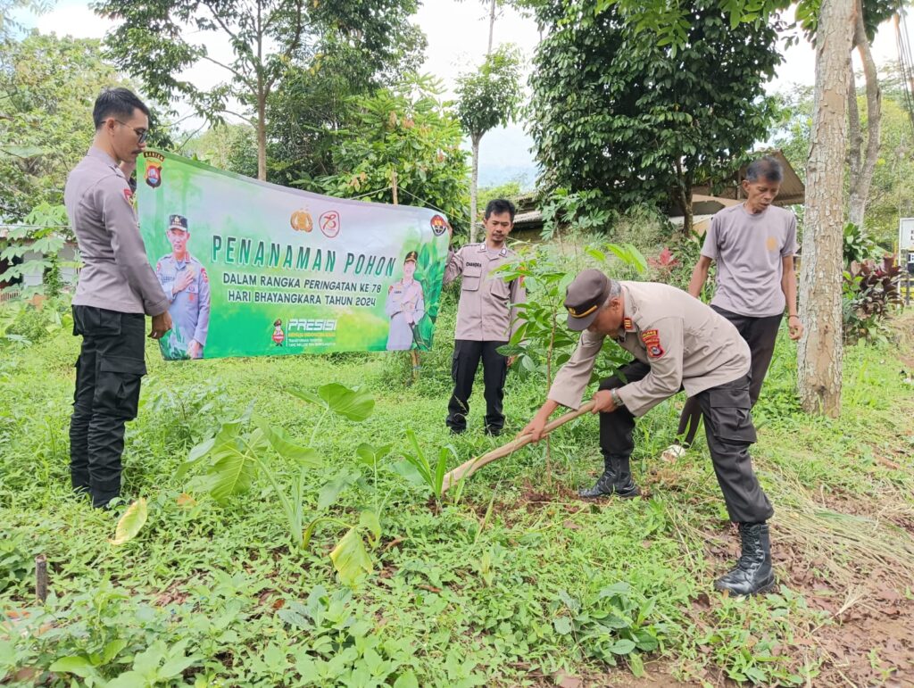 Polsek Mandalawangi Tanam 100 Pohon dalam Memperingati HUT Bhayangkara ke 78 9 WhatsApp Image 2024 06 27 at 11.11.29