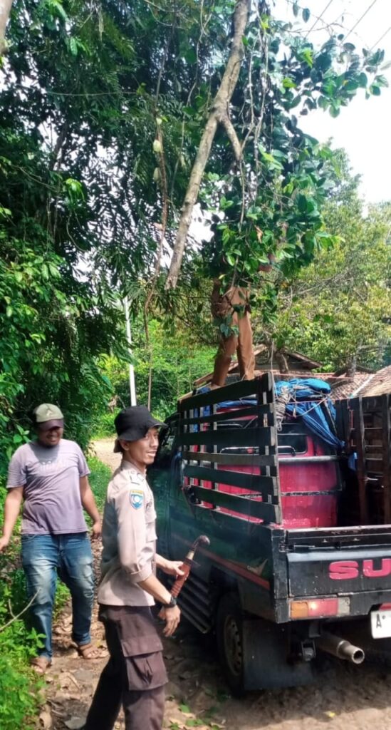 Bhabinkamtibmas Polsek Bojong Polres Pandeglang Menggelar Sambang ke Desa Binaan, Bantu Warga Berkebun 7 WhatsApp Image 2024 07 09 at 13.41.58